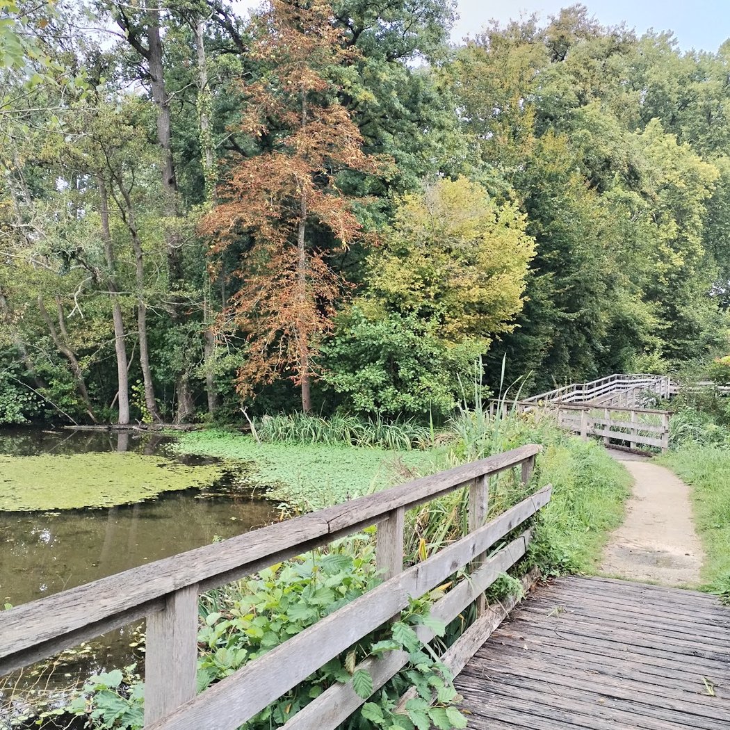 Marais de la Grande-Ile 3